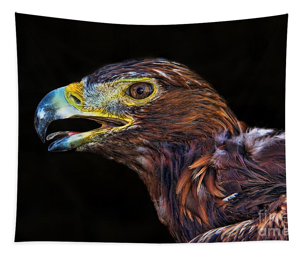 Golden Eagle Tapestry featuring the photograph Golden Eagle by Mariola Bitner