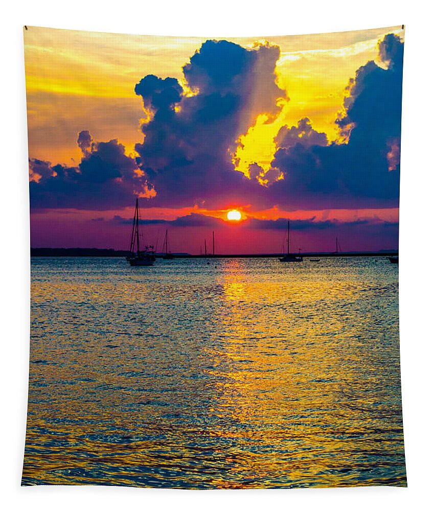 Golden Tapestry featuring the photograph Golden Waters by Shannon Harrington
