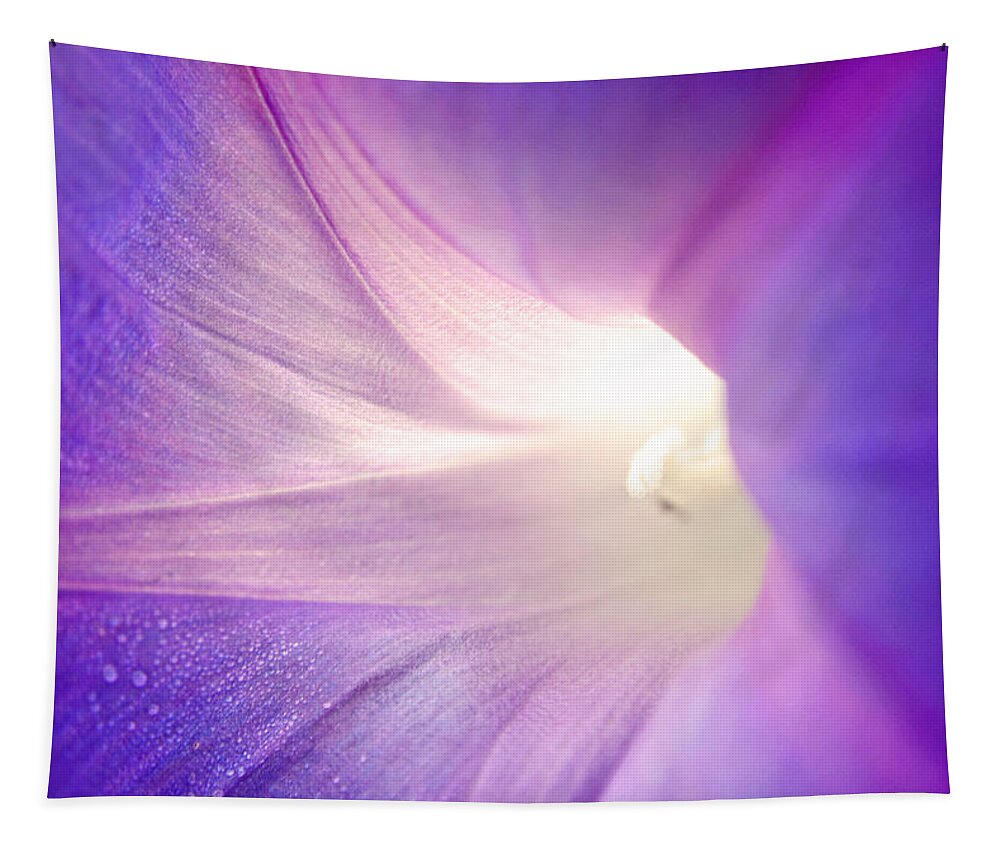 Flower Tapestry featuring the photograph Good Morning Glory by Melanie Moraga