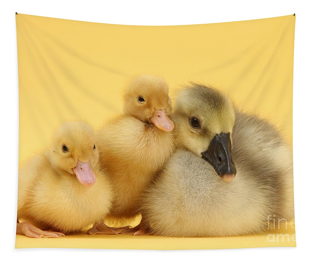 Nature Tapestry featuring the photograph Gosling And Ducklings by Mark Taylor