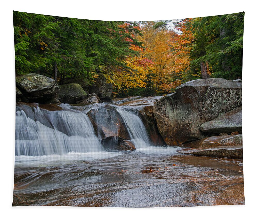 Grafton Notch Maine Tapestry featuring the photograph Grafton Notch by Guy Whiteley