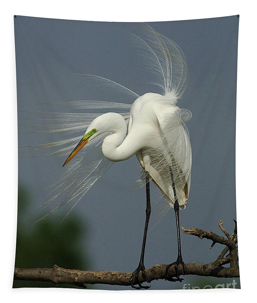 Great Egret Tapestry featuring the photograph Great Egret by Bob Christopher