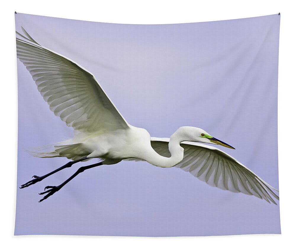 Sky Tapestry featuring the photograph Great Egret in Breeding Plumage by Fred J Lord