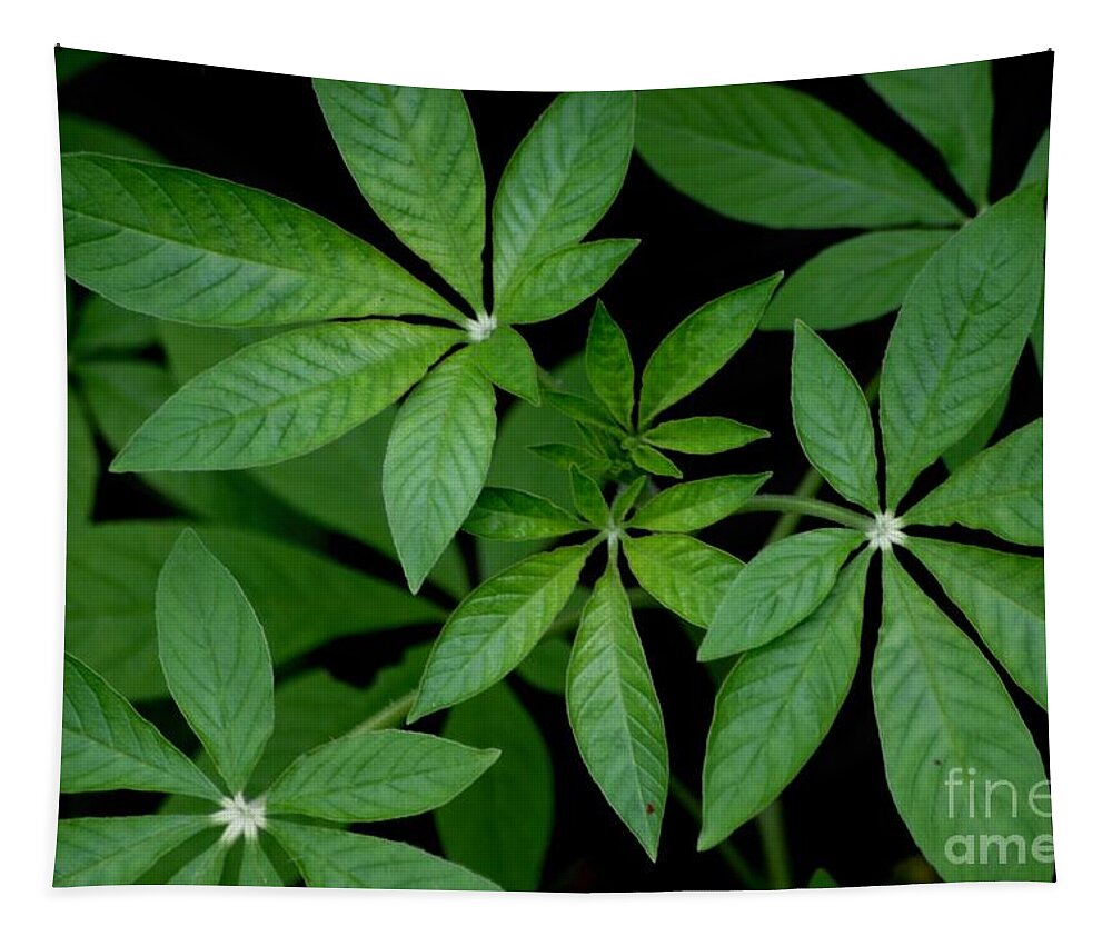 Green Tapestry featuring the photograph Green Is Beautiful by Living Color Photography Lorraine Lynch