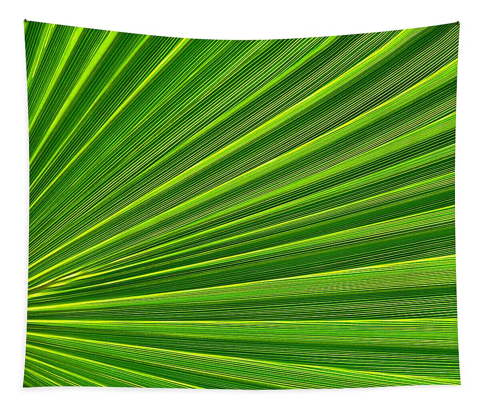 Abstract Art Tapestry featuring the photograph Green Perspective by Steven Huszar