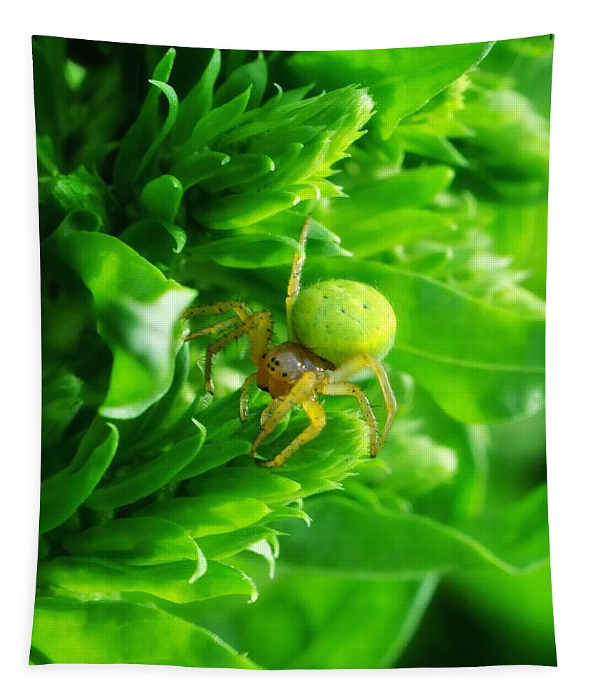 Yhun Suarez Tapestry featuring the photograph Green Spider 2.0 by Yhun Suarez
