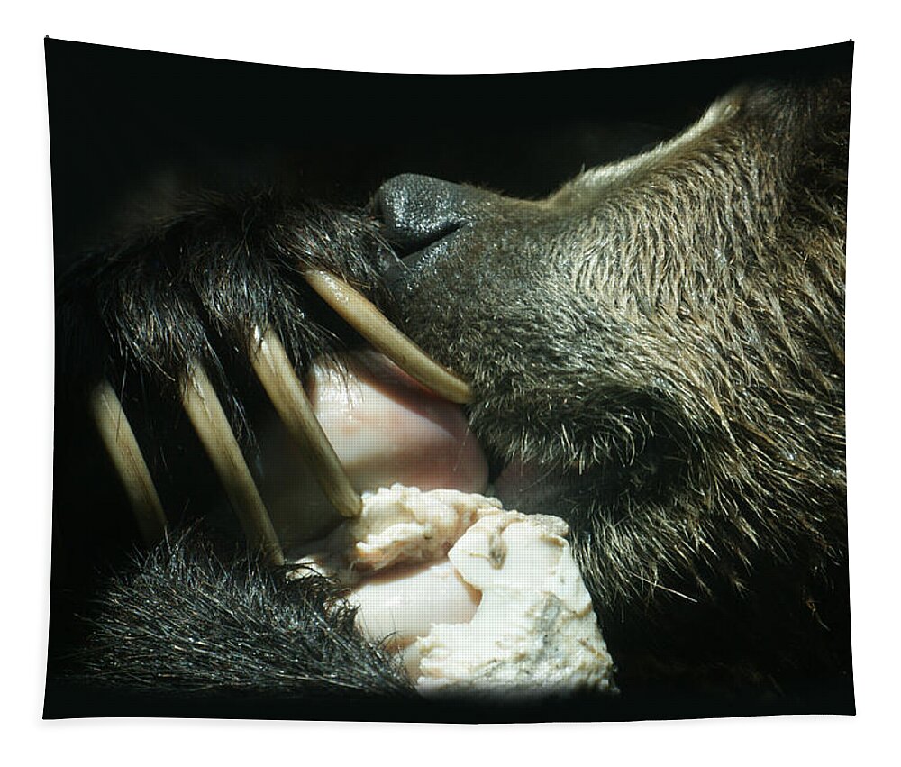 Bear Tapestry featuring the photograph Grizzly Eating by Ernest Echols