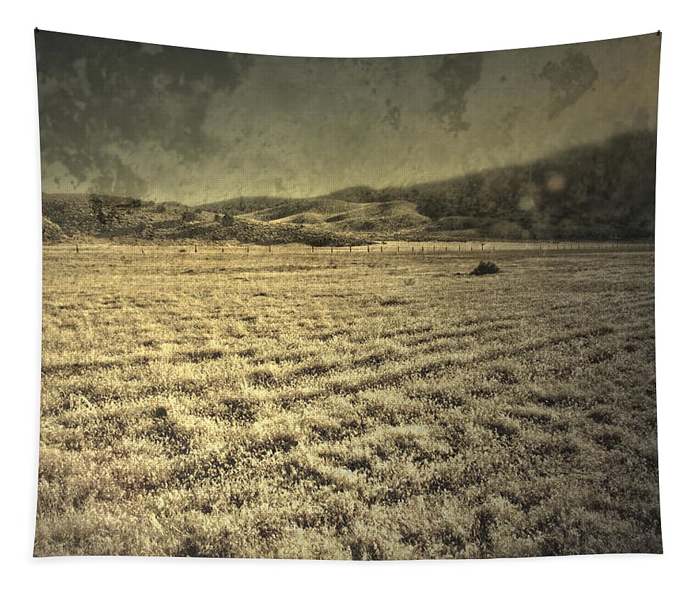 Country Tapestry featuring the photograph Half Past Spring by Mark Ross