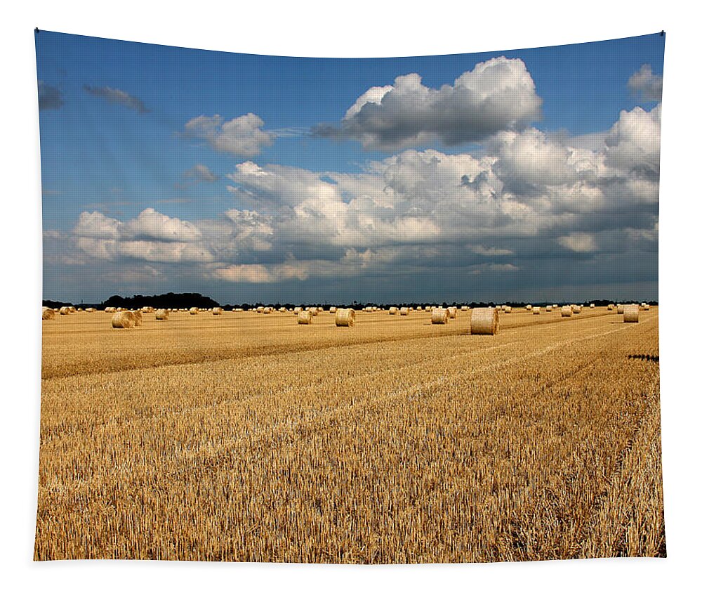 Harvest Tapestry featuring the photograph Harvest by Ralf Kaiser