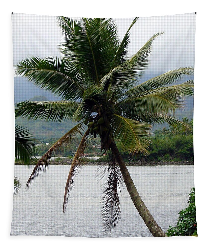 Tropical Palm Trees Tapestry featuring the photograph Hawaiian Palm by Athena Mckinzie