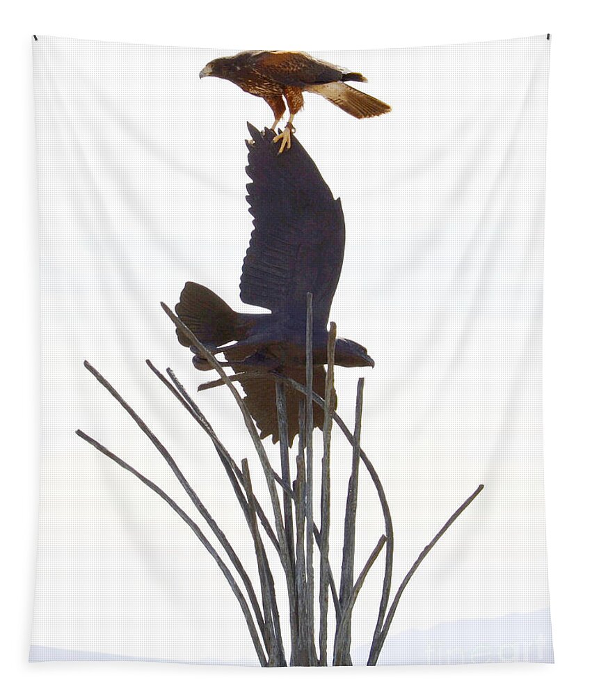 Hawk Tapestry featuring the photograph Hawk on statue by Rebecca Margraf