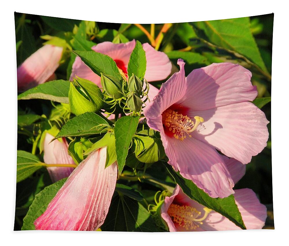 Hibiscus Tapestry featuring the photograph Hibiscus In Summer by Angie Tirado