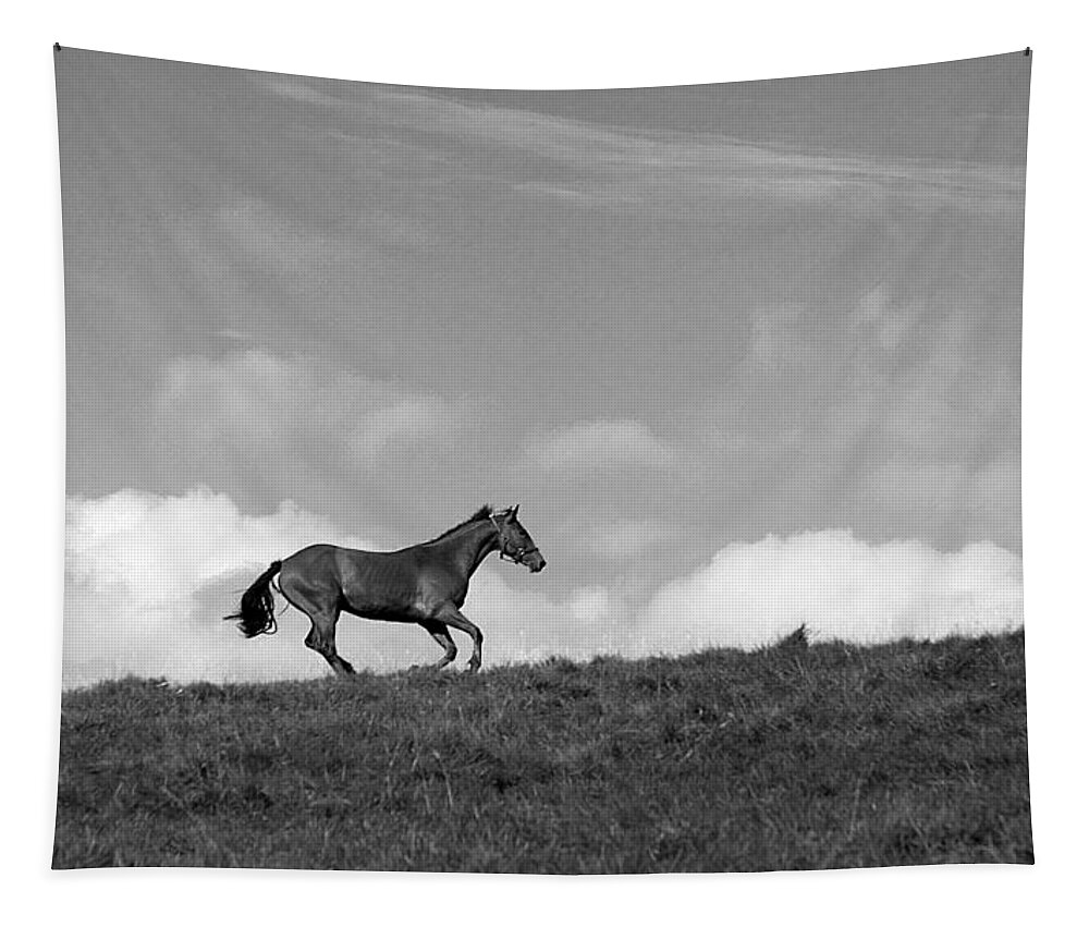 Landscape Tapestry featuring the photograph Hilltop Gallop by Jean Macaluso