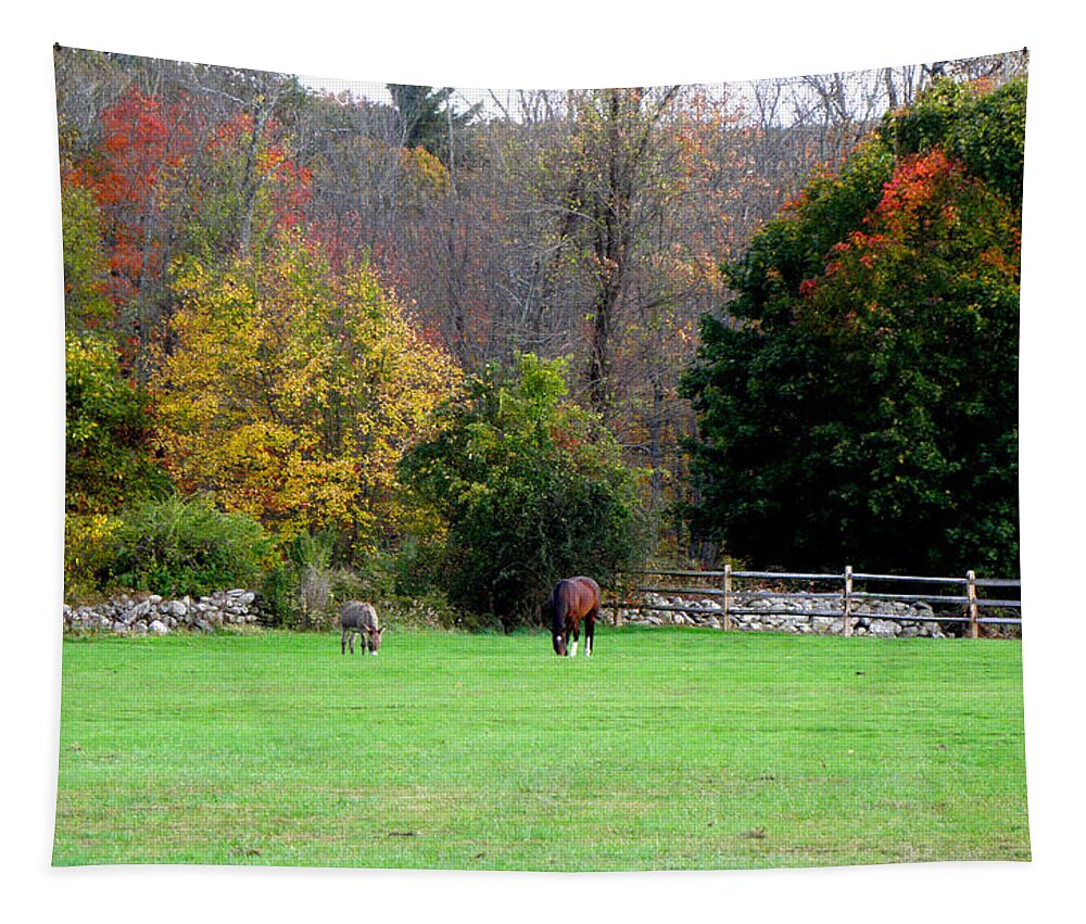 Fall Setting Tapestry featuring the photograph Horse Farm by Kim Galluzzo
