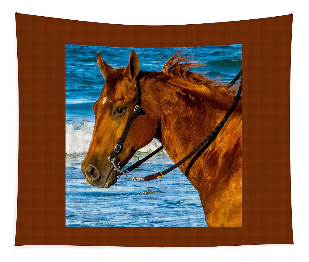Horse Tapestry featuring the photograph Horse Portrait by Shannon Harrington