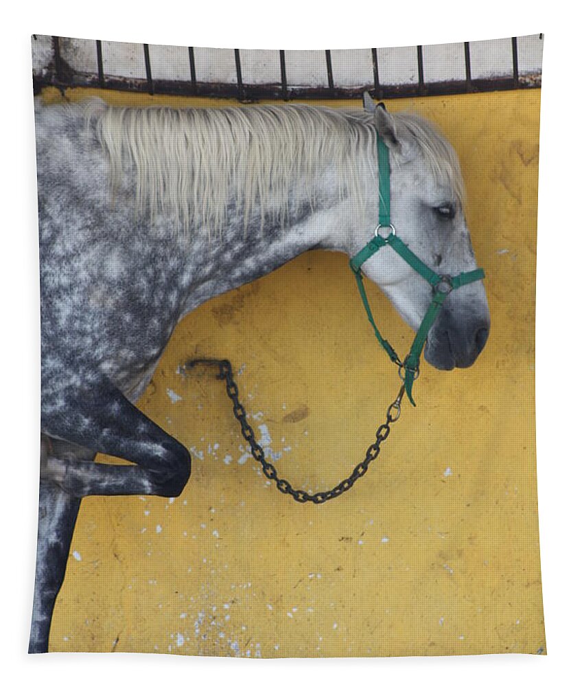 Horse Tapestry featuring the photograph Horse by Rogerio Mariani