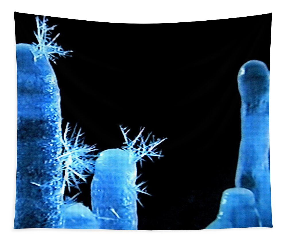 Colette Tapestry featuring the photograph Iceparticles by Colette V Hera Guggenheim