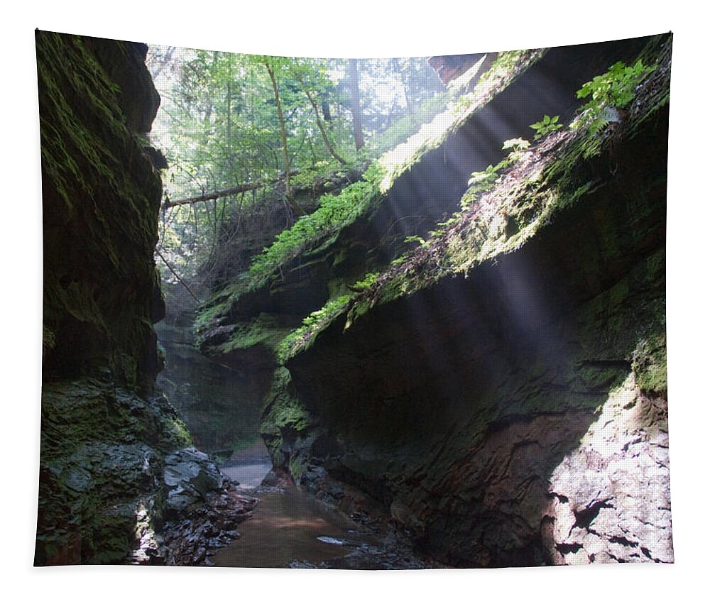 Rocks Tapestry featuring the photograph In the Cleft of the Rock by David Arment