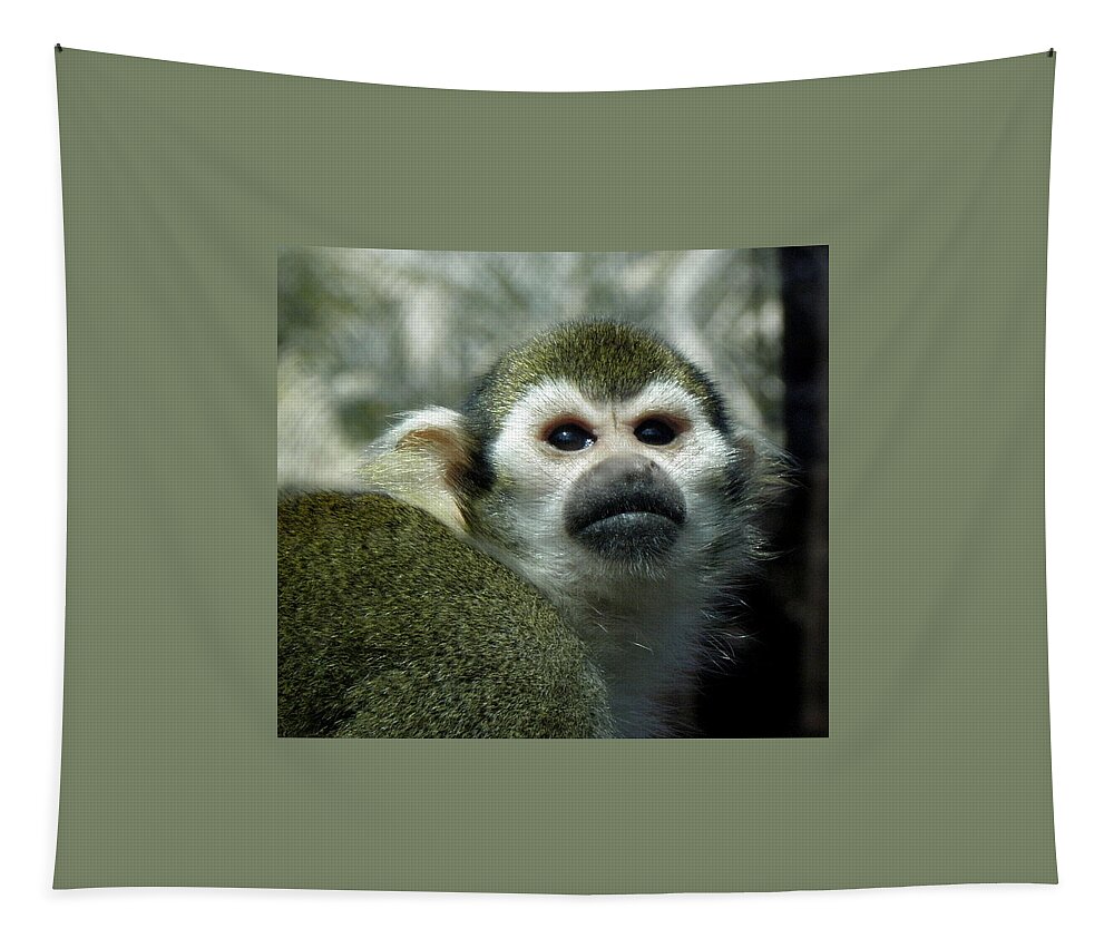 Monkey Tapestry featuring the photograph In Thought by Kim Galluzzo