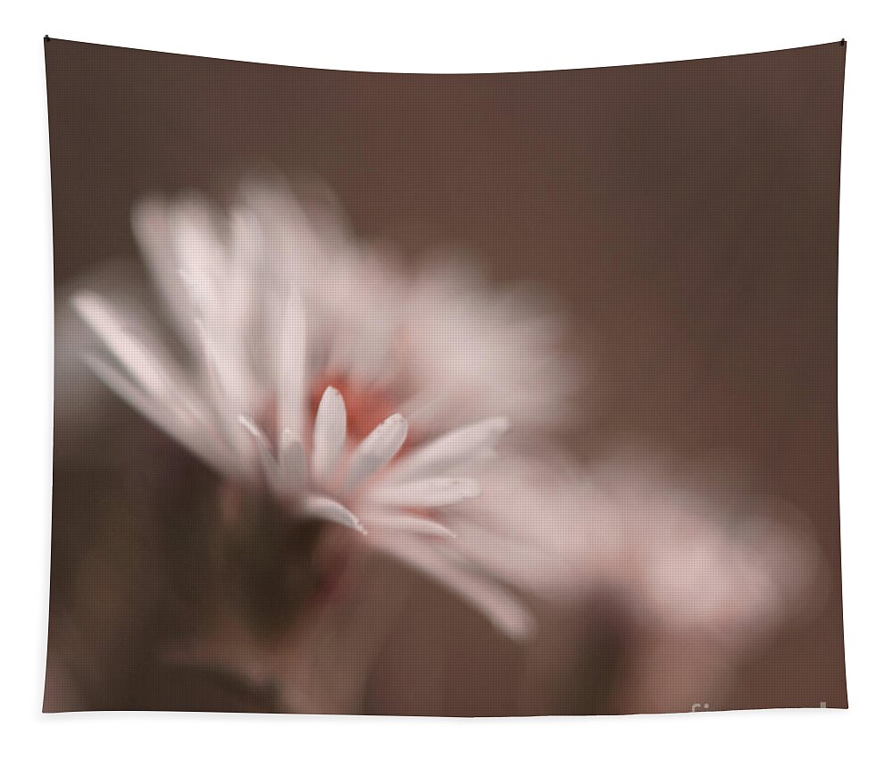 Daisy Tapestry featuring the photograph Innocence - 05-01a by Variance Collections