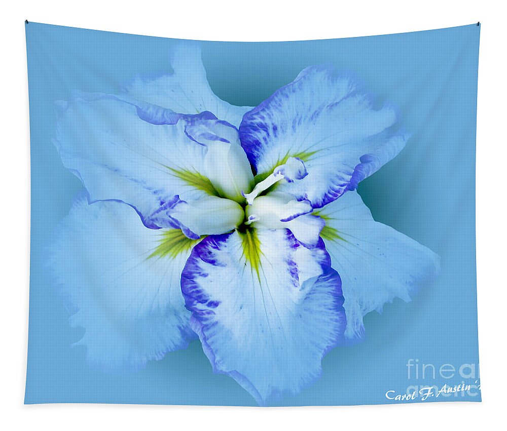 Iris Tapestry featuring the photograph Iris in Blue by Carol F Austin