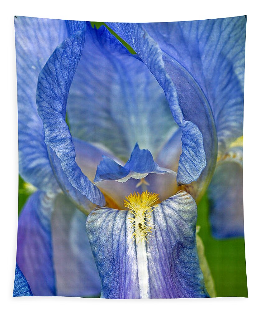 Iris Tapestry featuring the photograph Iris by Larry Carr