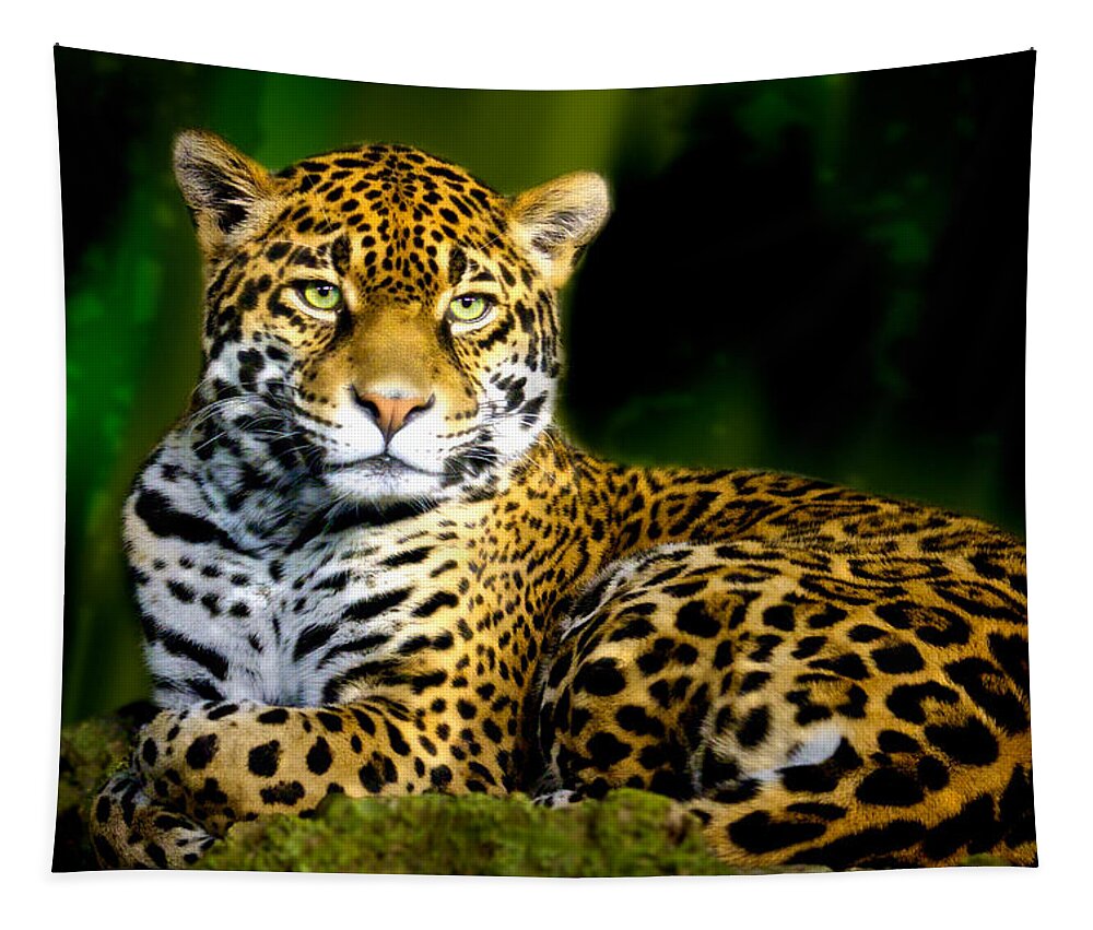 Animal Tapestry featuring the photograph Jaguar by Jarrod Erbe