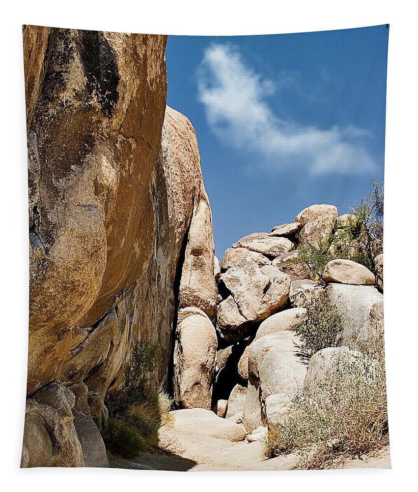 Endre Tapestry featuring the photograph Joshua Tree Rocks by Endre Balogh