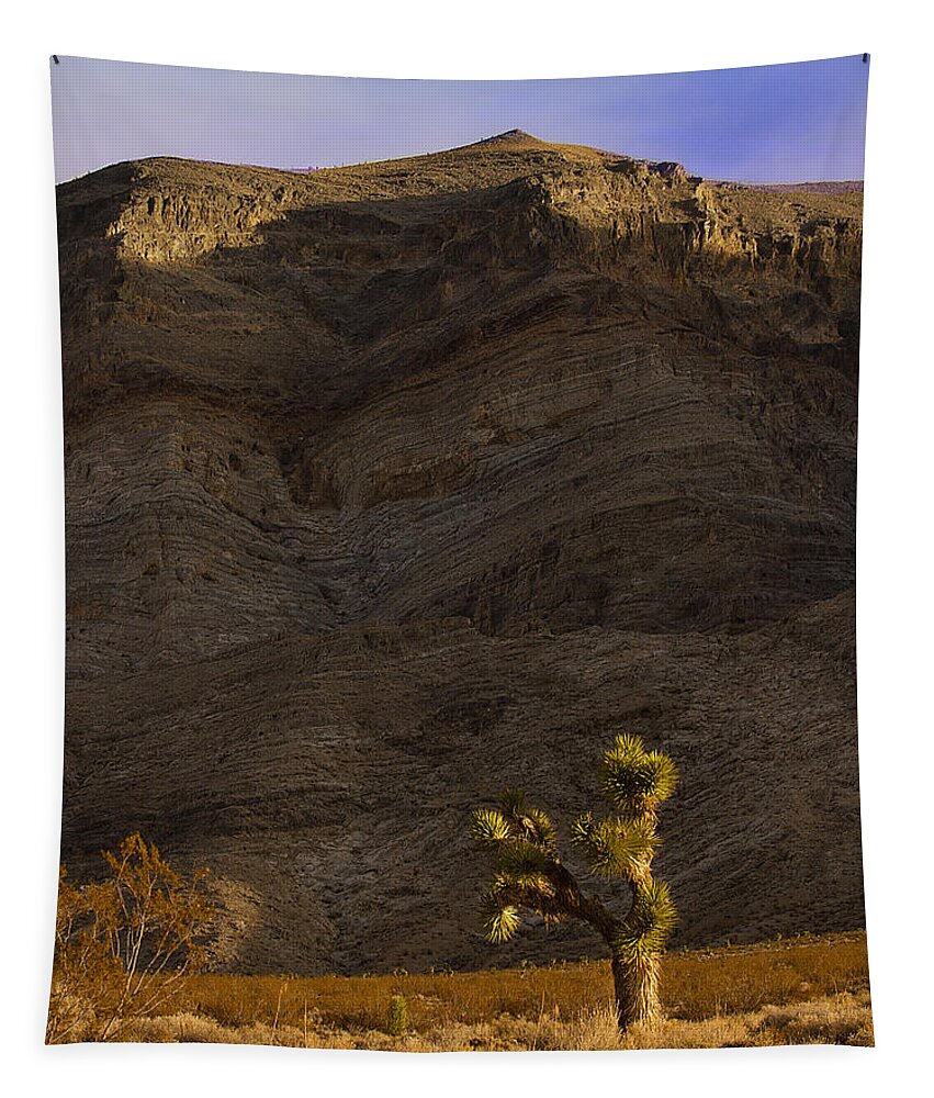 Death Valley Tapestry featuring the photograph Joshua Tree sunrise by Jean Noren