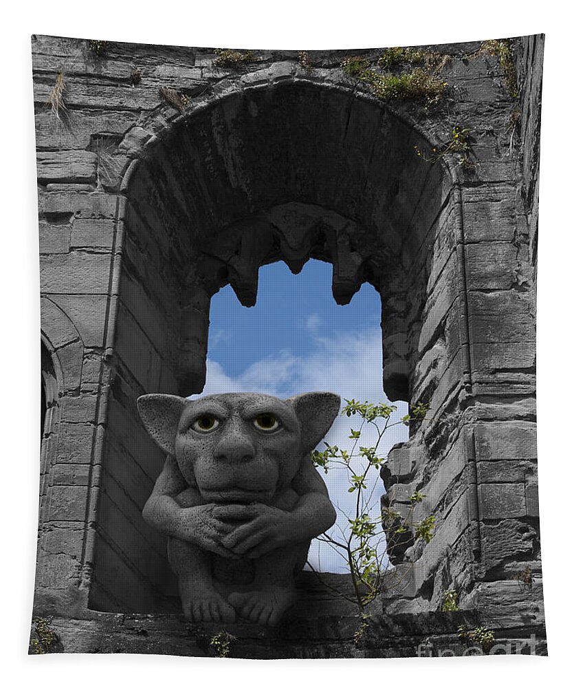 Gargoyle Tapestry featuring the photograph Just watching by Steev Stamford
