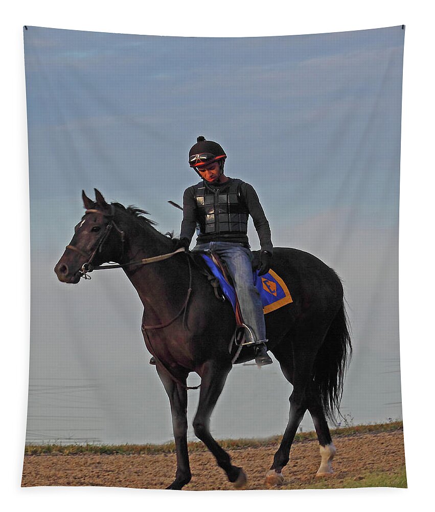 Thorougbred Race Horse Tapestry featuring the photograph Knight Jockey by PJQandFriends Photography