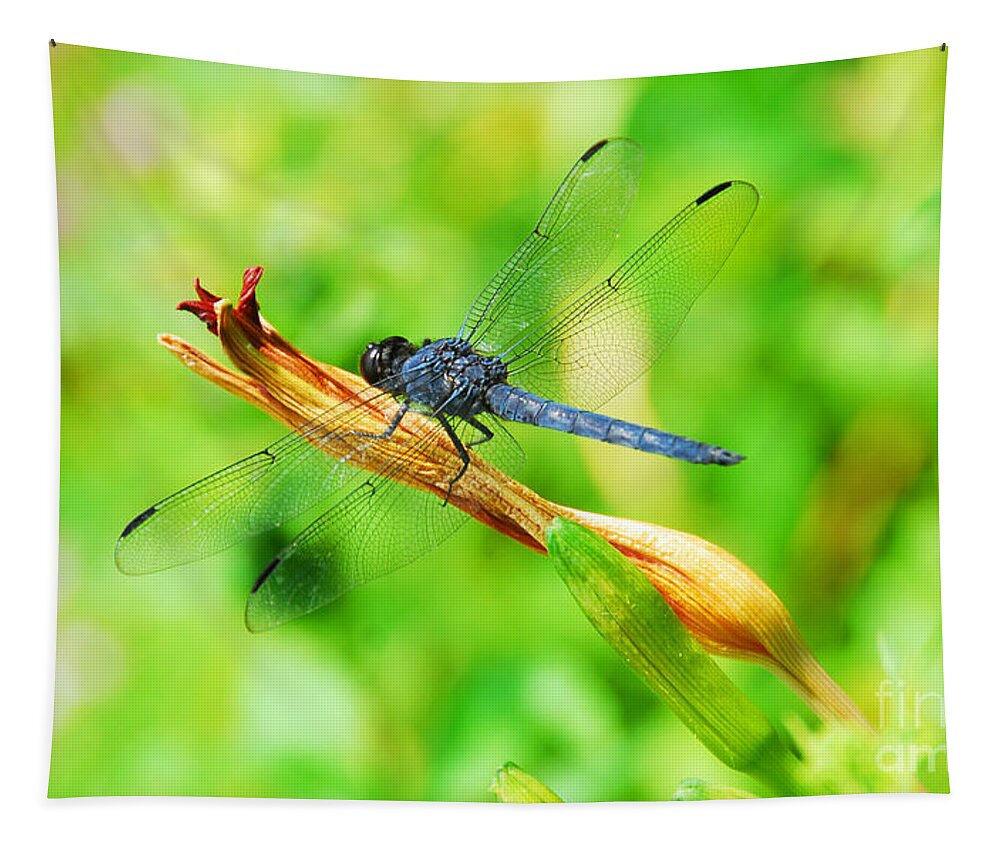 Nature Tapestry featuring the photograph Lace Wings by Cindy Manero