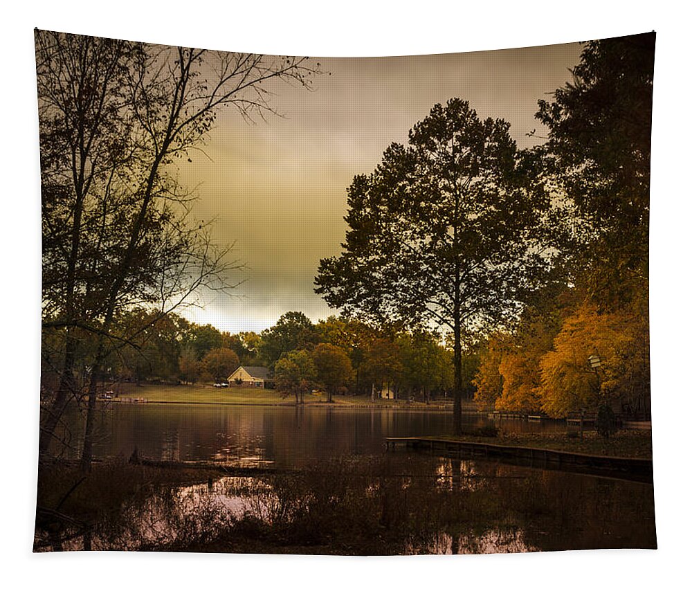 Trees Tapestry featuring the photograph Lakefront Evening by Barry Jones