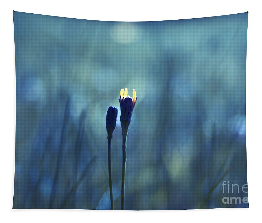 Blue Tapestry featuring the photograph Le Centre d'Attention by Aimelle Ml