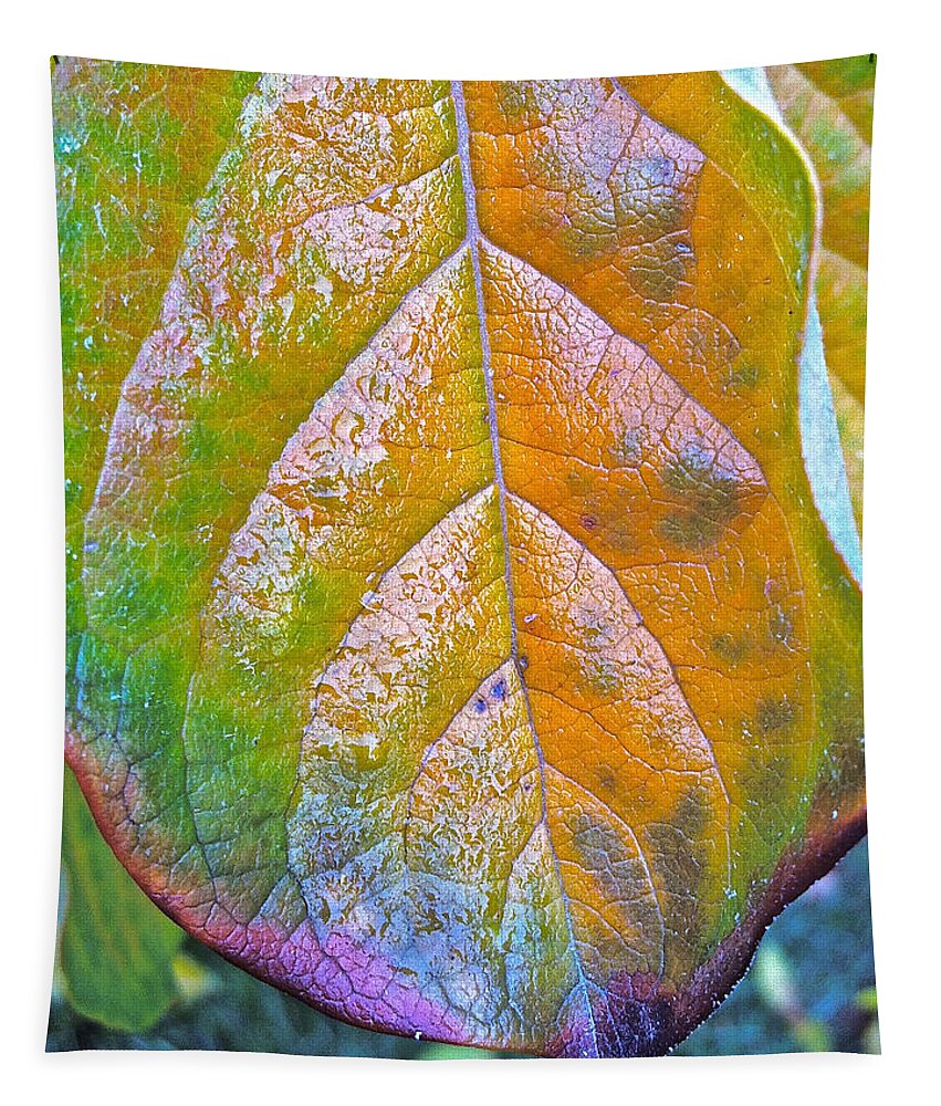 Persimmons Tapestry featuring the photograph Leaf by Bill Owen