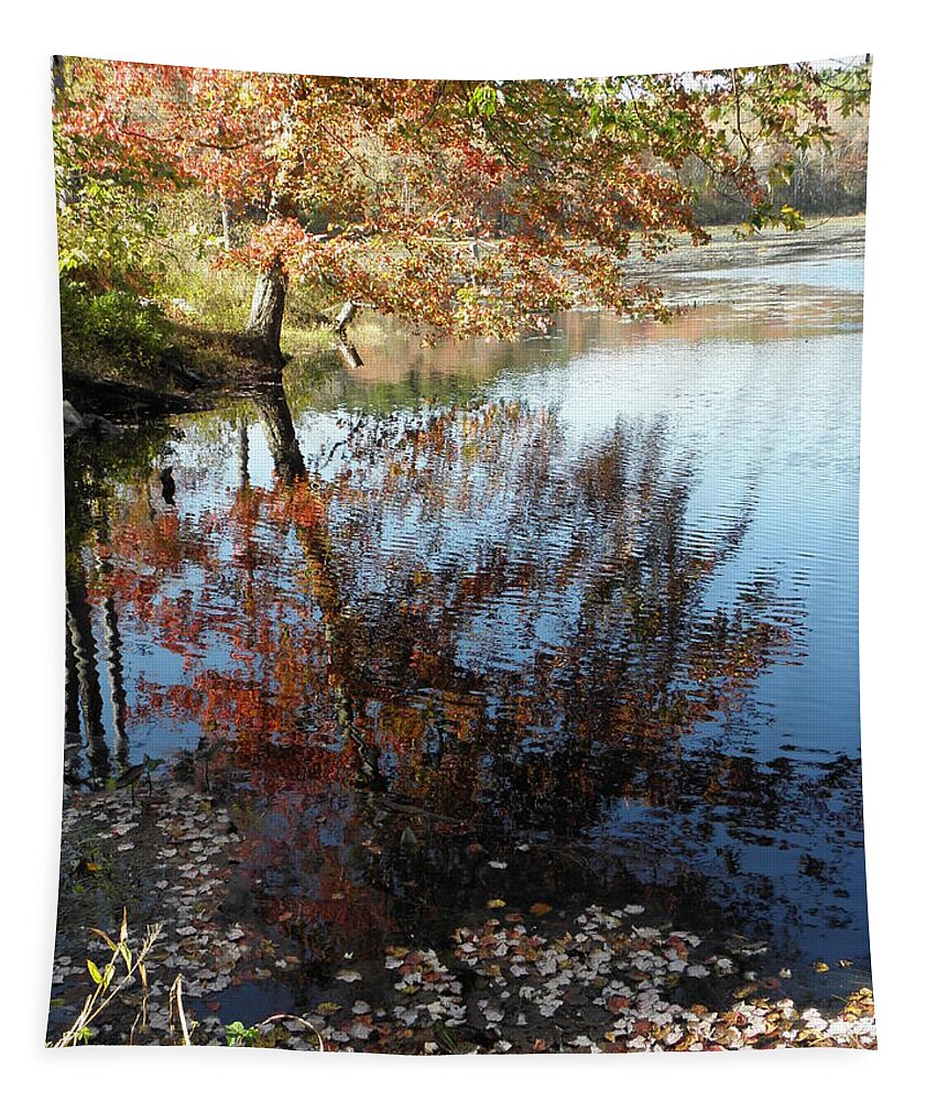 Leaves Tapestry featuring the photograph Leaves Of Reflections by Kim Galluzzo Wozniak