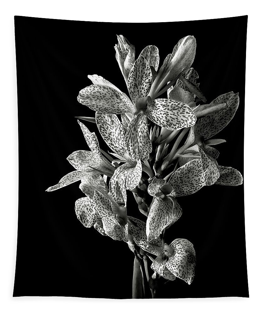 Flower Tapestry featuring the photograph Leopard Lily in Black and White by Endre Balogh