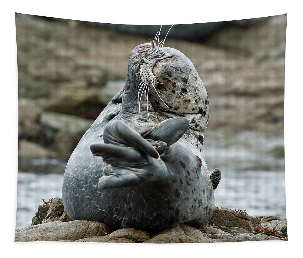 Seal Tapestry featuring the photograph Life is Tough by Greg Nyquist