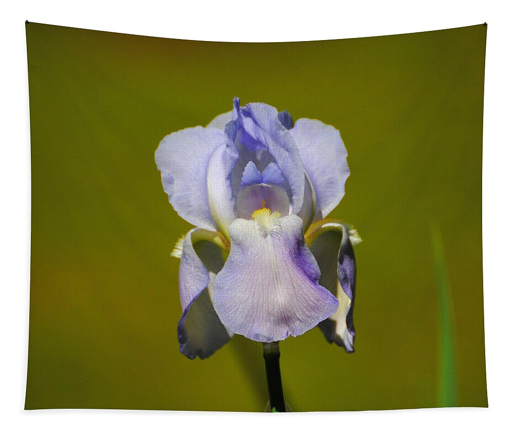Beautiful Iris Tapestry featuring the photograph Lilac Blue Iris Flower II by Jai Johnson