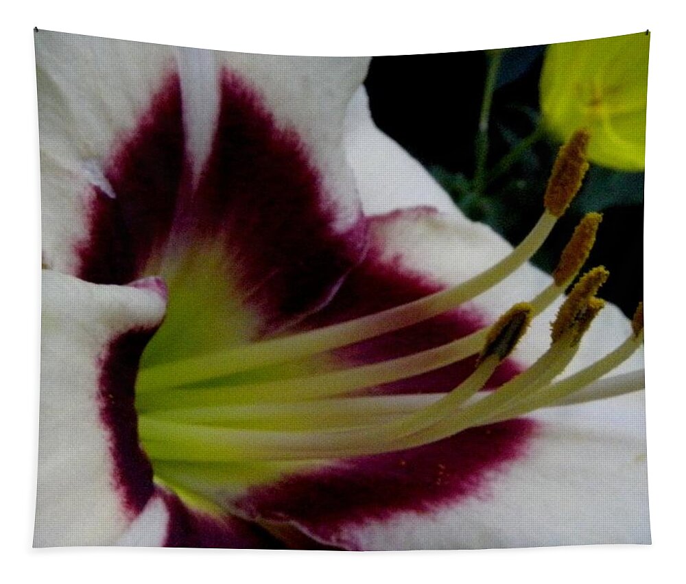 Lily Tapestry featuring the photograph Lily Of True Beauty by Kim Galluzzo