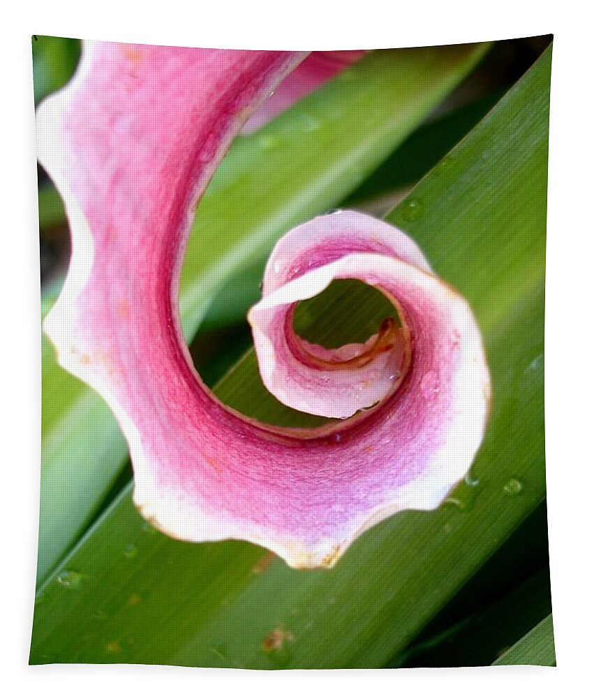 Lily Tapestry featuring the photograph Lily Spiral by Kerri Mortenson