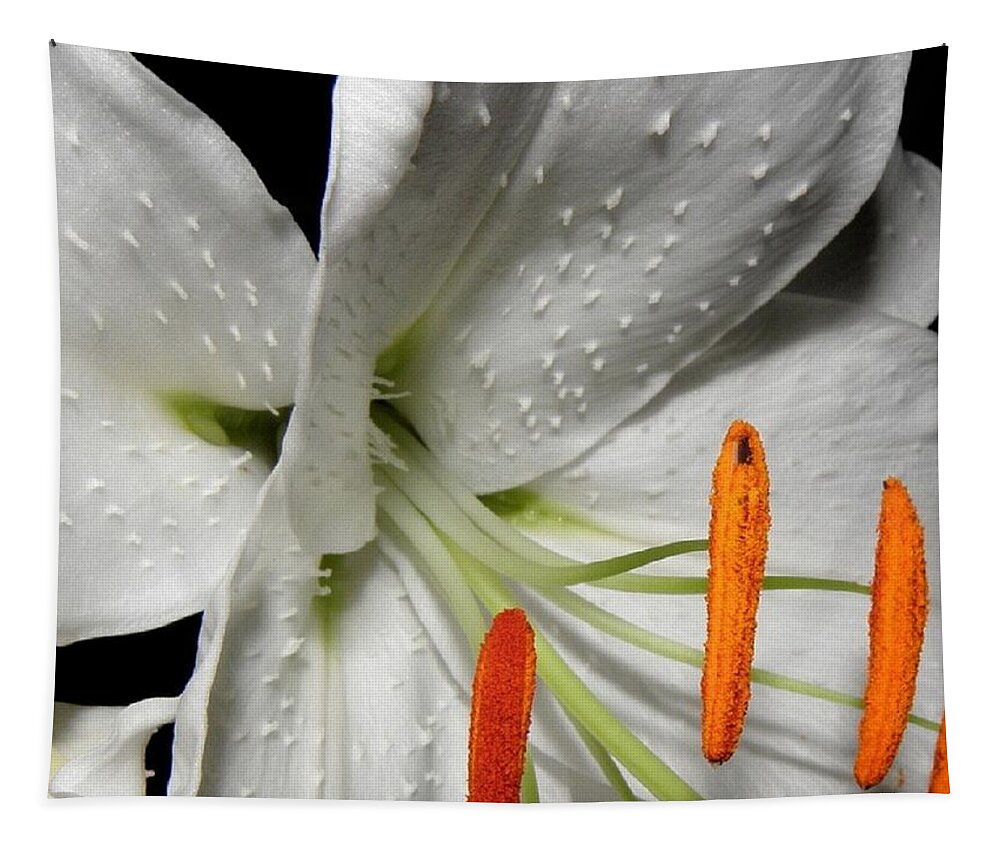 Lily Tapestry featuring the photograph Lily stems and detail by Kim Galluzzo