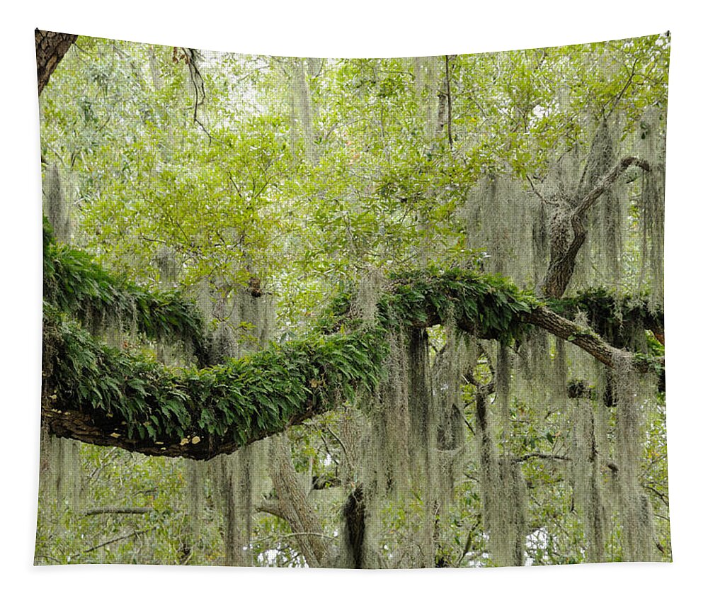 Spanish Moss Tapestry featuring the photograph Live Oak with ferns and Spanish moss by Bradford Martin