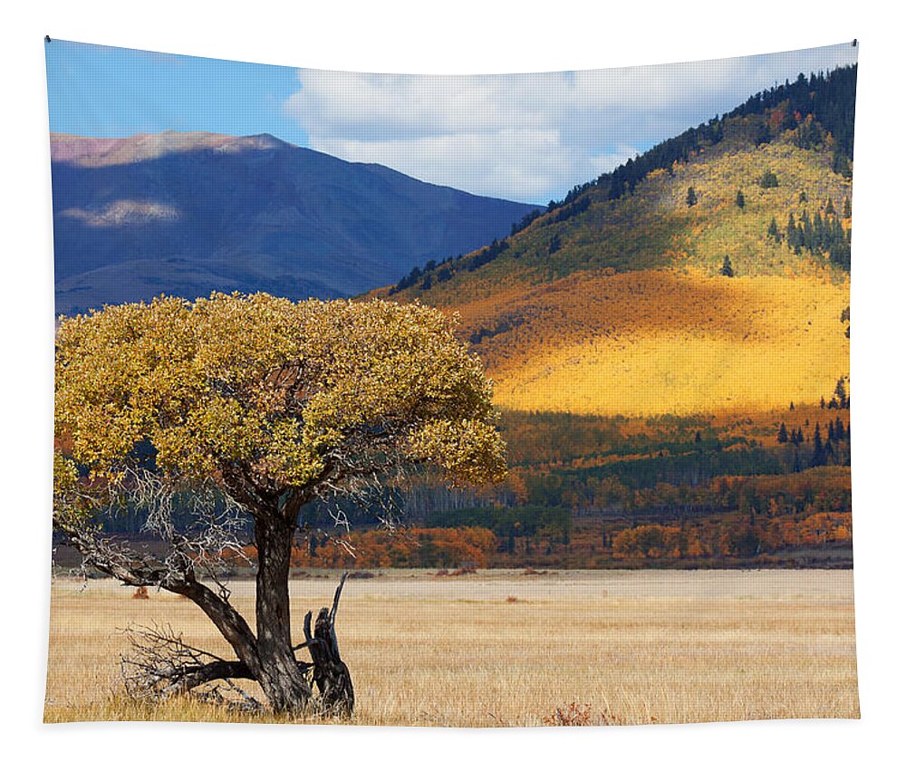 Aspen Tapestry featuring the photograph Lone Tree by Jim Garrison