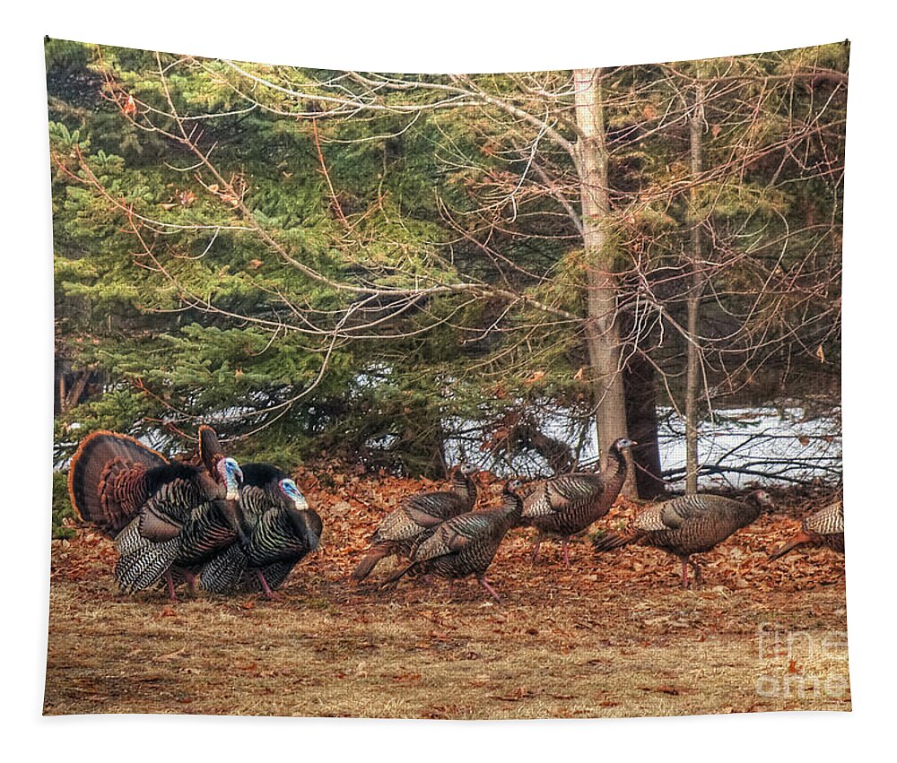 Turkey Tapestry featuring the photograph Lookin' Good by Terry Doyle