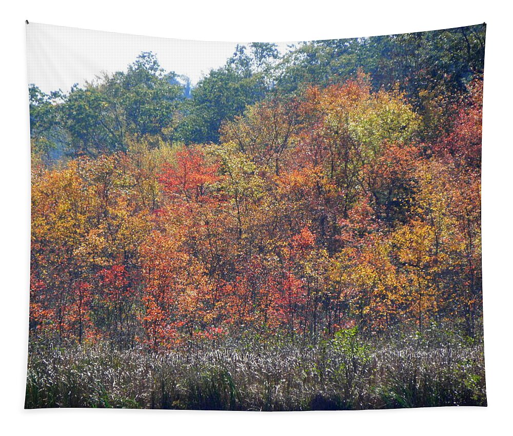 Autumn Tapestry featuring the photograph Looks Like A Painting by Kim Galluzzo Wozniak