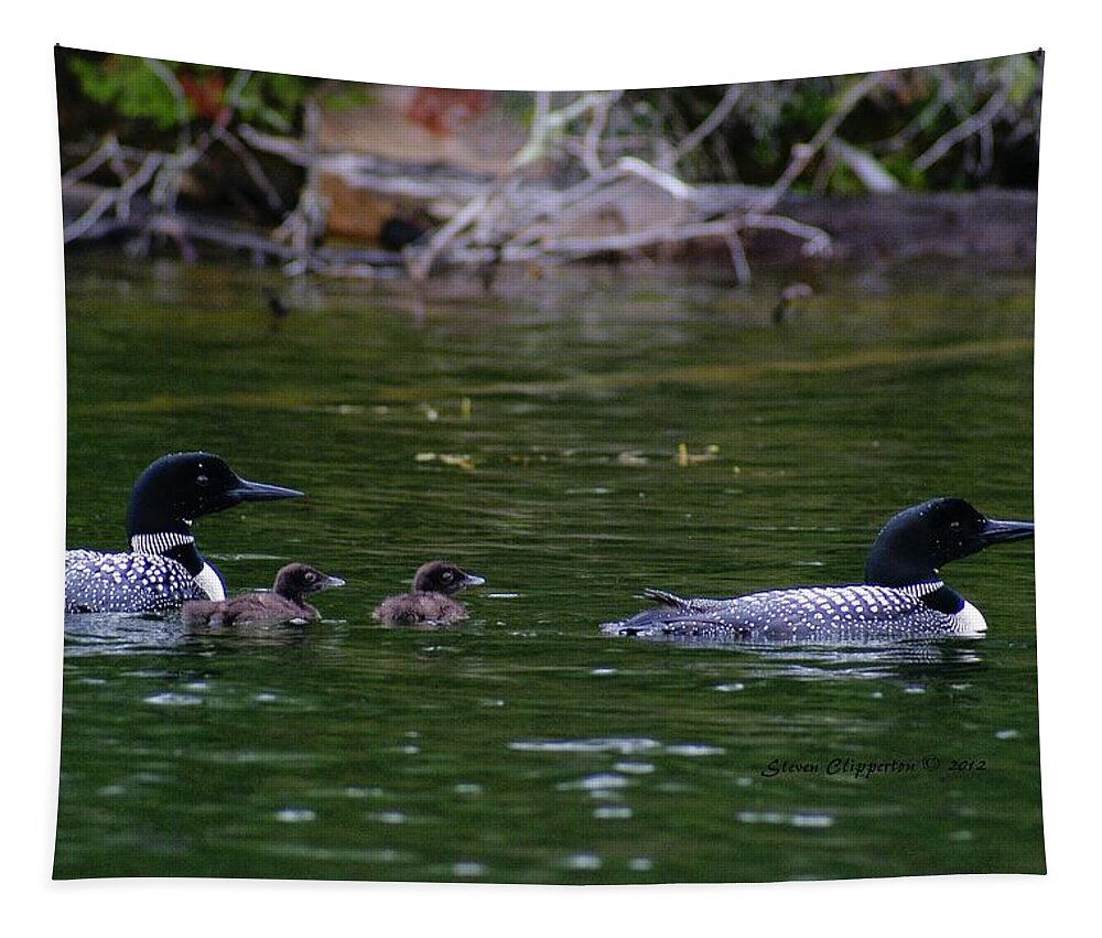 Loons Tapestry featuring the photograph Loons with Twins by Steven Clipperton