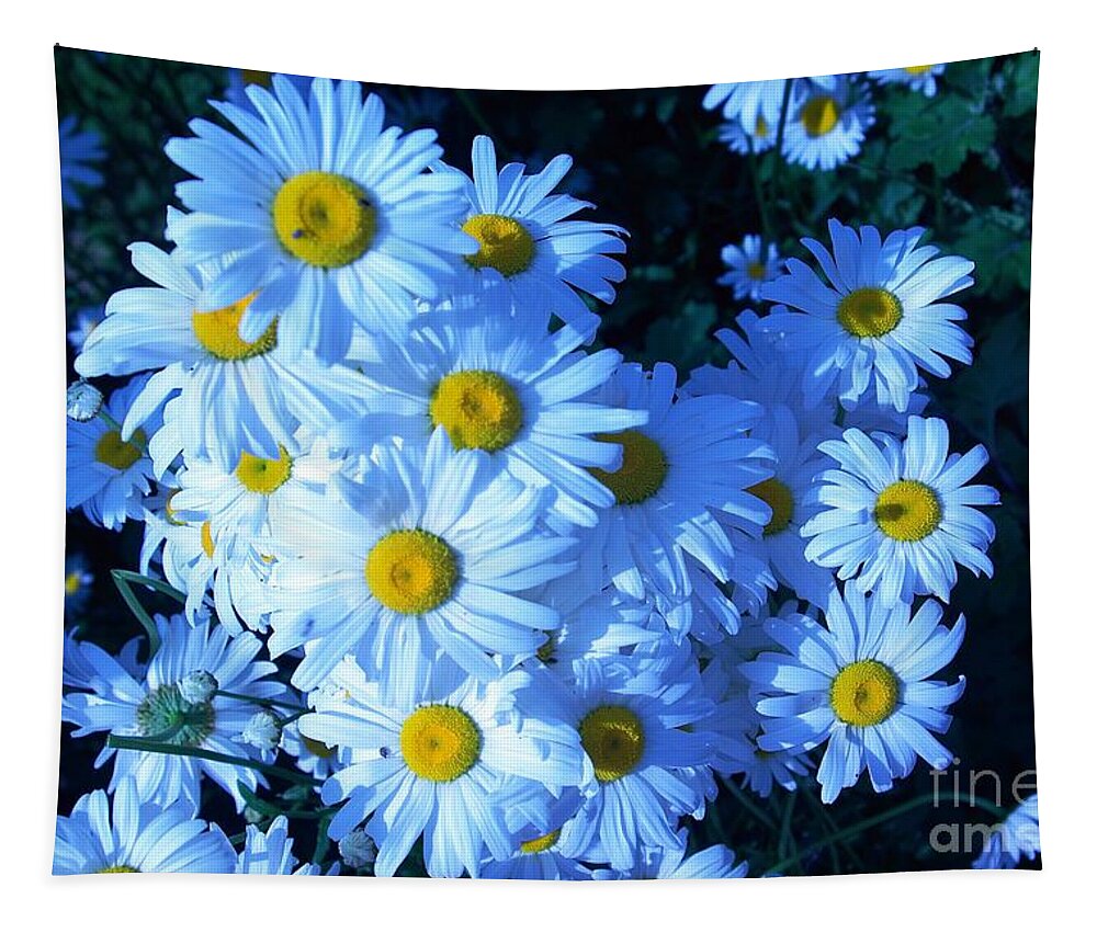 Flowers Tapestry featuring the photograph Lot of Daisies by Amalia Suruceanu