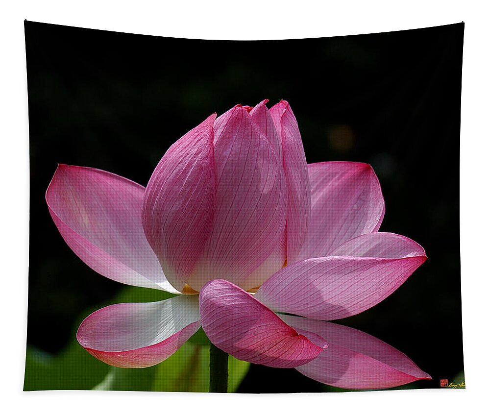 Nature Tapestry featuring the photograph Lotus Beauty--Beauty in Disarray DL027 by Gerry Gantt