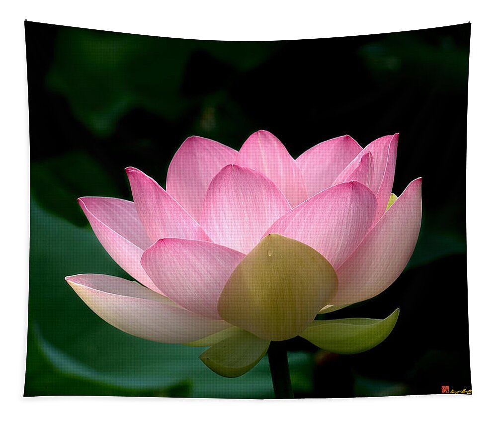Nature Tapestry featuring the photograph Lotus Beauty--Blushing DL003 by Gerry Gantt